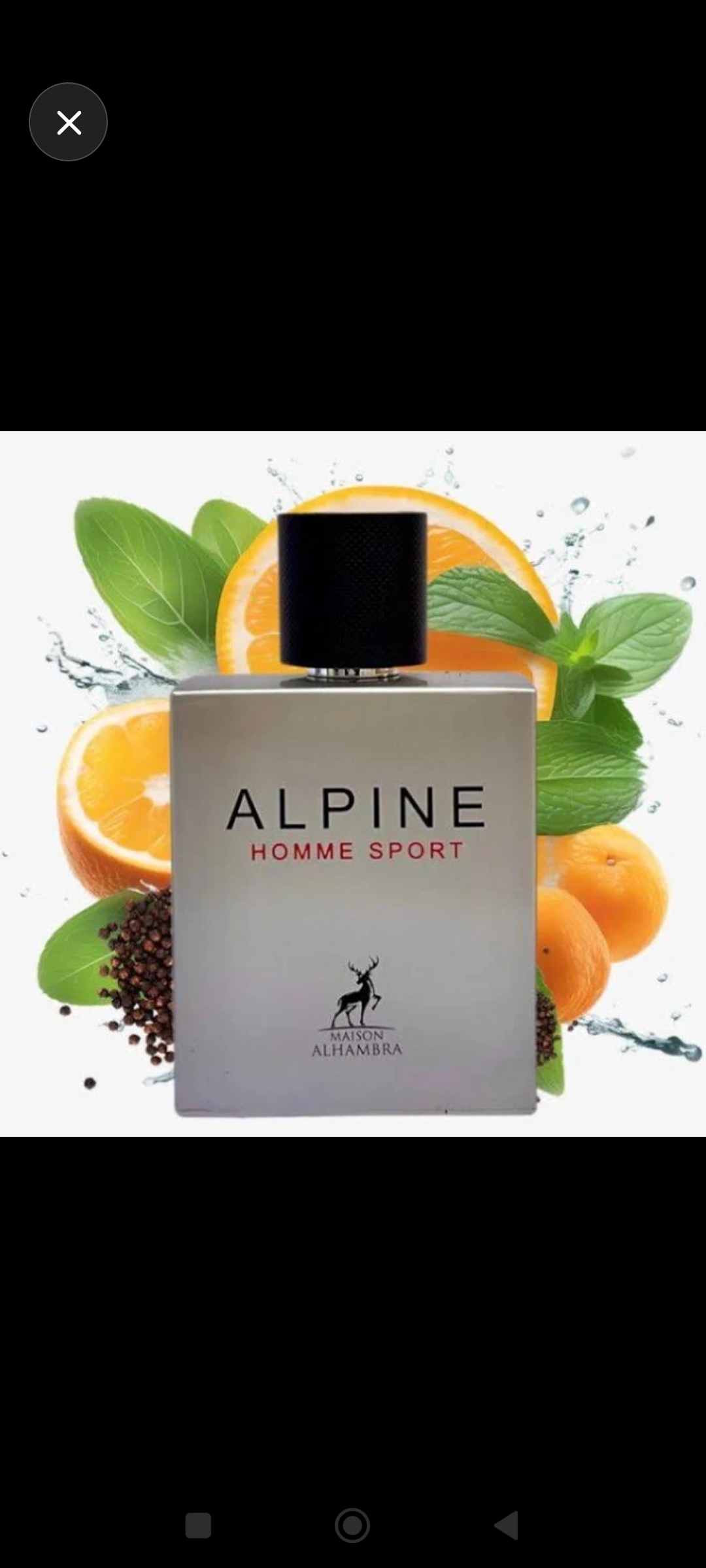 Alpine  Homme Sport 100ml - Miniatura 2